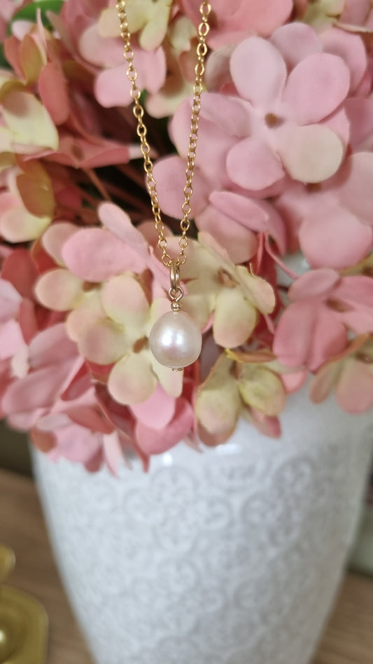 Large single freshwater pearl necklace